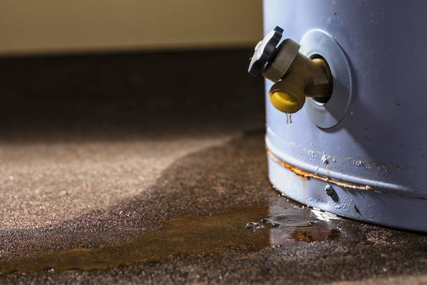  Tehaleh, WA Water damage restoration Pros