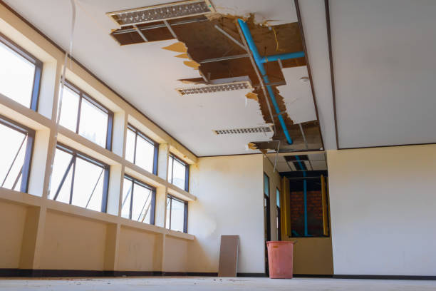Best Residential water damage restoration  in Tehaleh, WA