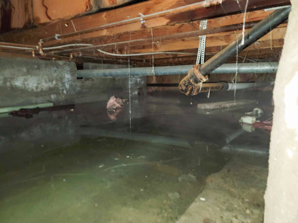 Best Water damage restoration services  in Tehaleh, WA