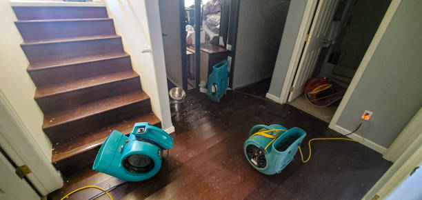 Best 24-hour water damage restoration  in Tehaleh, WA