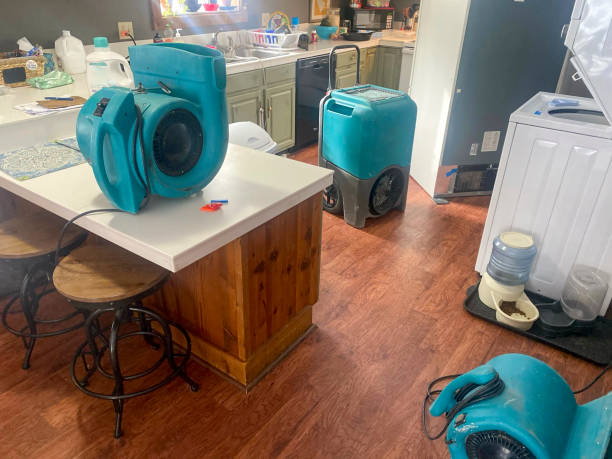 Best Mold removal after water damage  in Tehaleh, WA