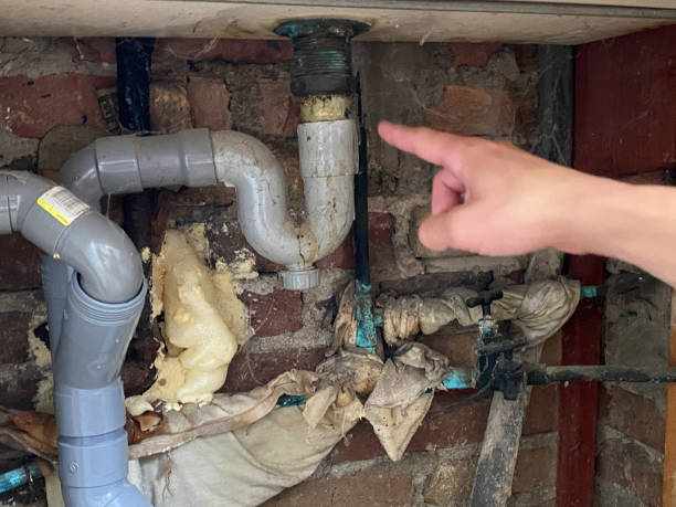Best Local water damage restoration  in Tehaleh, WA