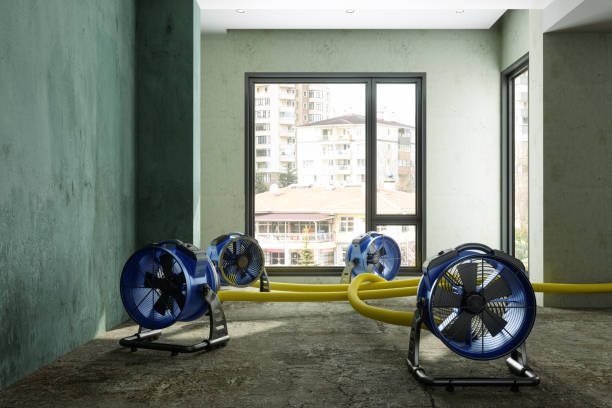 Best Mold removal after water damage  in Tehaleh, WA